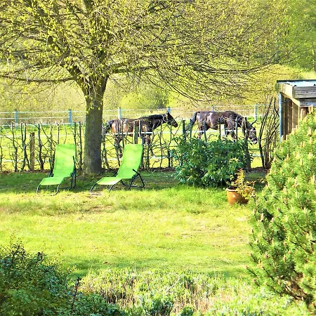 Spann Mol Ut Apartamento Zirkow
